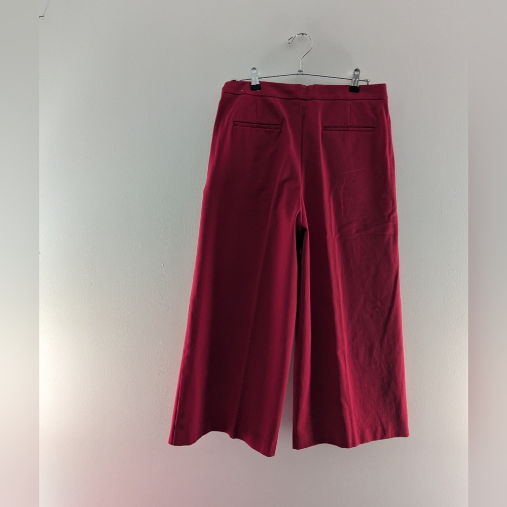 Ann Taylor Hot Pink Cropped Pants Size 8 | Stretchy Stylish Capris. Work busines - Picture 4 of 4